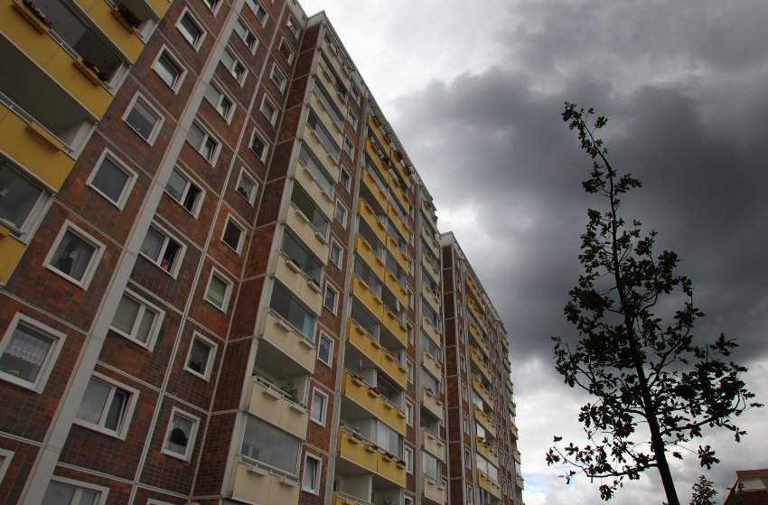 Featured image for Friedenseiche in Rostock-Lichtenhagen abgesägt